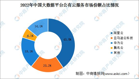 2024年中国公有云服务行业市场前景预测研究(图6)