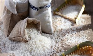 2024年中国云平台产业现状及未来发展趋势分析：云服务业务收入快速增长(图2)