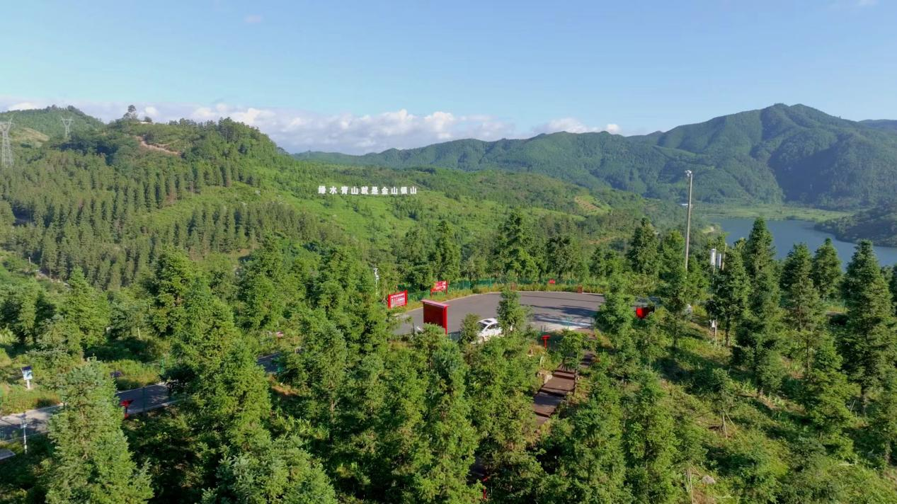 靖州茯苓深加工产业集群被确定为“湖南省中小企业特色产业集群”(图4)
