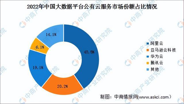 2024年中国公有云服务行业市场前景预测研究（简版）(图6)