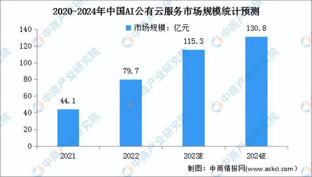2024年中国公有云服务行业市场前景预测研究（简版）(图7)
