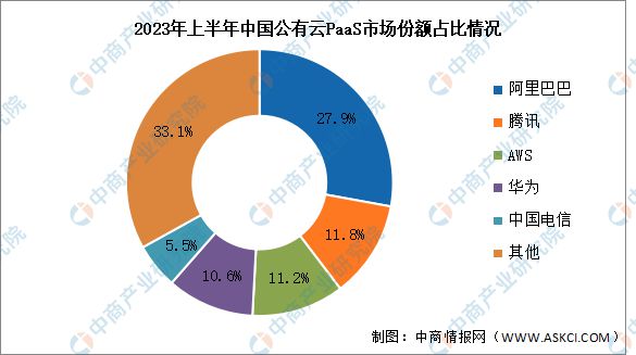 2024年中国公有云服务行业市场前景预测研究（简版）(图12)