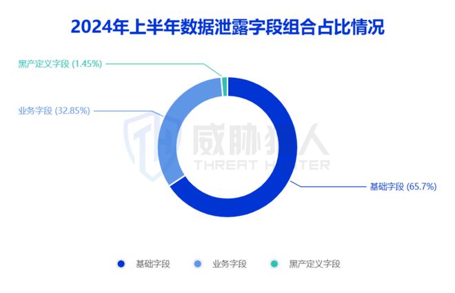 2024年上半年数据泄露风险态势(图12)